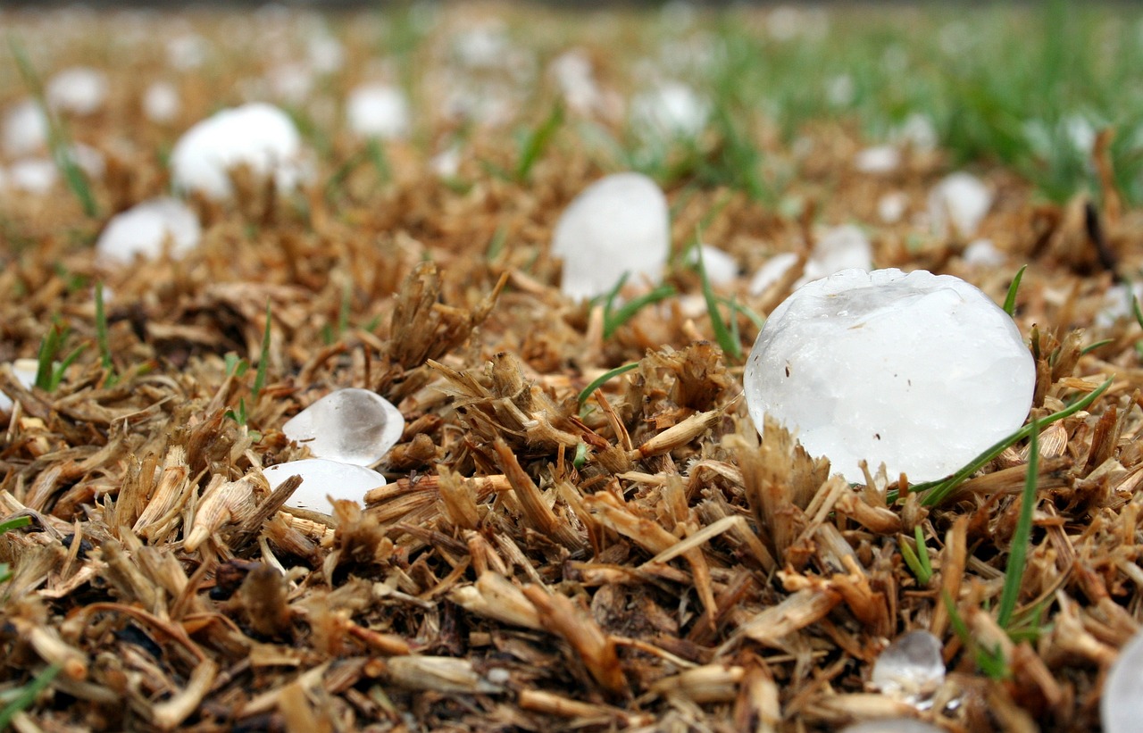 hailstone, storm, highveld-1614239.jpg